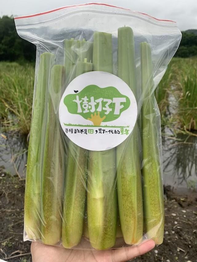 赤殼茭白筍(20斤含運),樹仔下