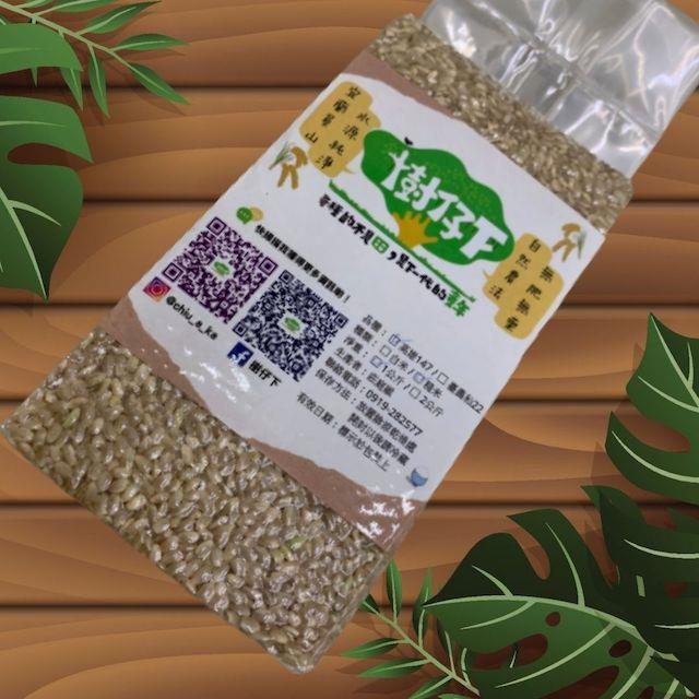 芋香米(胚芽米),樹仔下