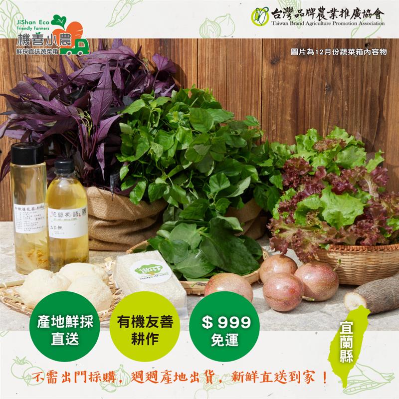 【機善小農】蔬菜箱(50箱),樹仔下